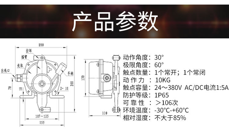 安全拉绳开关 (1)