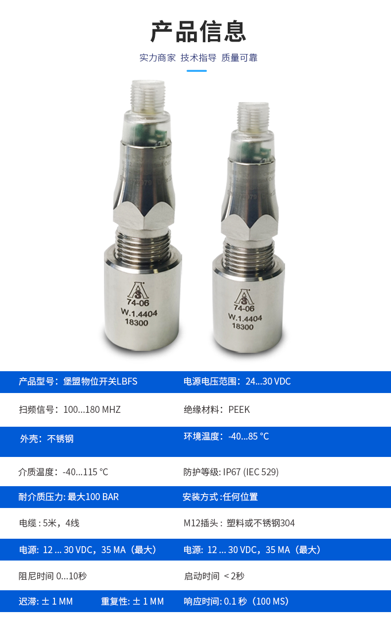 物位开关LBFS (2)