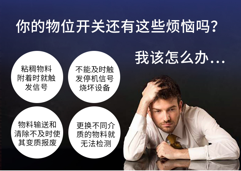 物位开关LBFS (12)